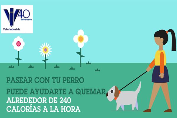 veterindustria apuesta por el valor asistencial de las mascotas veterindustria apuesta por el valor asistencial de las mascotas