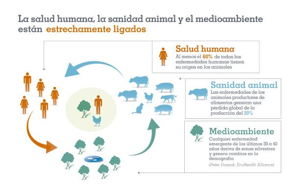 veterindustria comprometida con un mundo una salud veterindustria comprometida con un mundo una salud