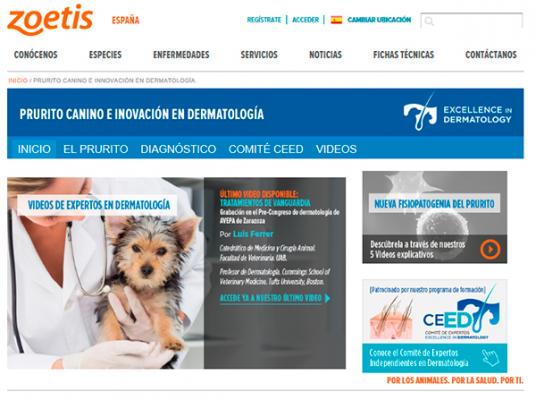 zoetis actualiza su web de prurito canino con un nuevo viacutedeo de expertos en dermatologiacutea zoetis actualiza su web de prurito canino con un nuevo viacutedeo de expertos en dermatologiacutea