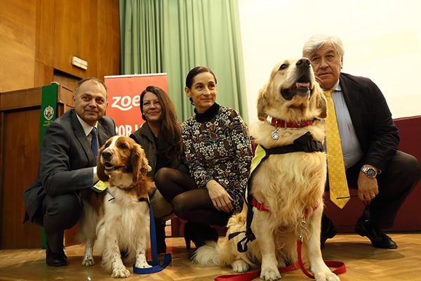 zoetis muestra su apoyo a las intervenciones asistidas con animales iaa zoetis muestra su apoyo a las intervenciones asistidas con animales iaa