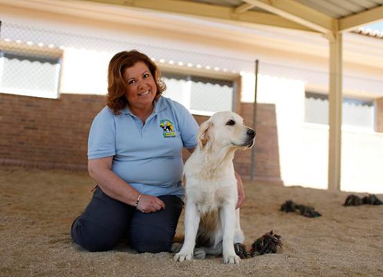 zoetis promueve los beneficios de los animales en la integracioacuten de las personas con discapacidad zoetis promueve los beneficios de los animales en la integracioacuten de las personas con discapacidad